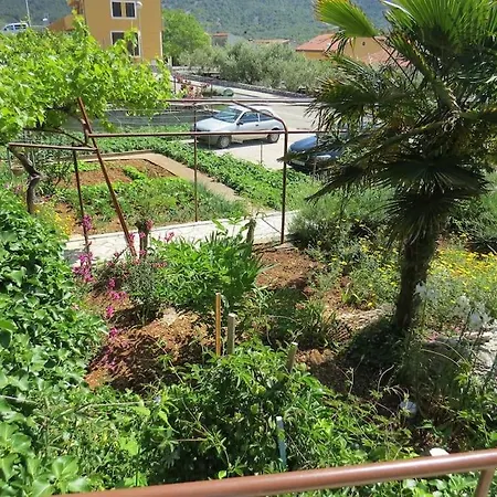 Apartment With 2 Terrace Cres Exterior photo