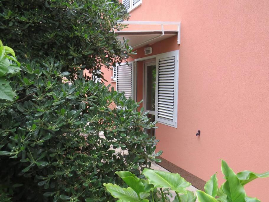 Apartment With 2 Terrace Cres