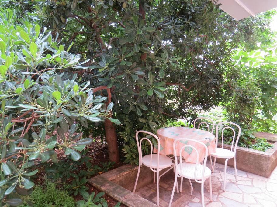 With 2 Terrace Apartment *